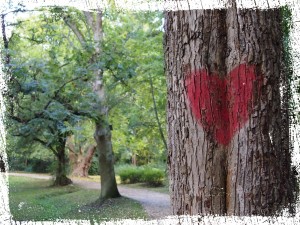 Baum mit Herz & Seele