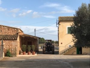 Hof der Käserei Burguera Mallorca