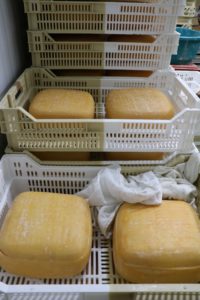 Käse bei Formatges Burguera