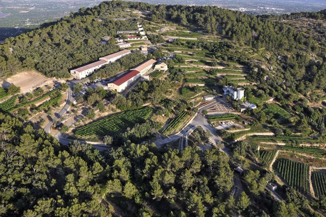 Luftaufnahme vom Weingut Castell Miquel