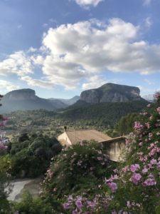 Frühling auf Mallorca Weingüter