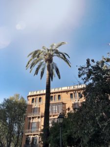 Yoga in Palma de Mallorca