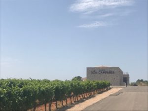 Weingut Son Campaner auf Mallorca