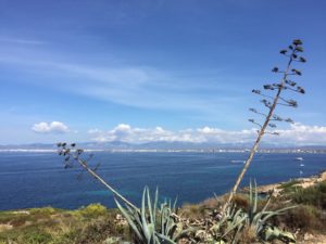 Cap Rocat Mallorca Ausblick
