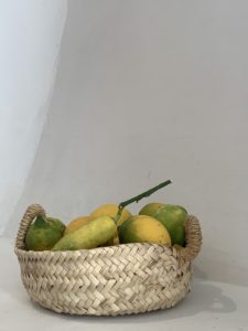 Selbstgepflückte Zitronen in Sa Cova Fornalutx