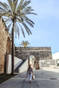 Mallorca ohne Mietwagen entdecken mit dem EMT Palma