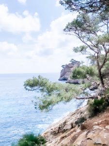 Klippen an der Cala Murta auf Mallorca