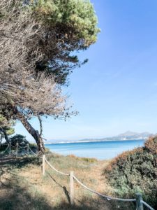 Mallorcas Natur erleben im Mallorca Urlaub 2022
