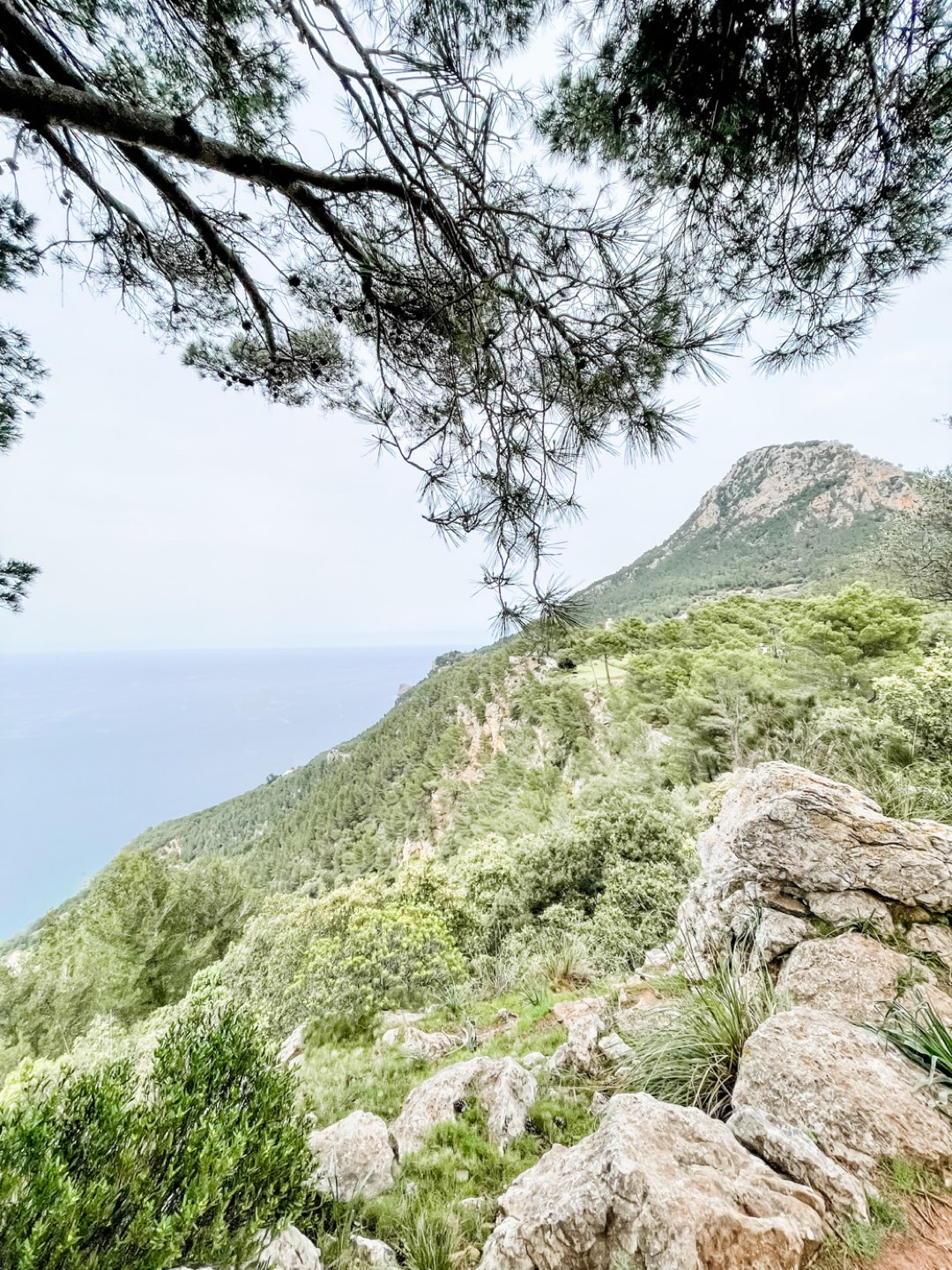 Cami de S'Escota Mallorca