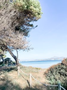 Traumstrände und Natur in Alcudia auf Mallorca