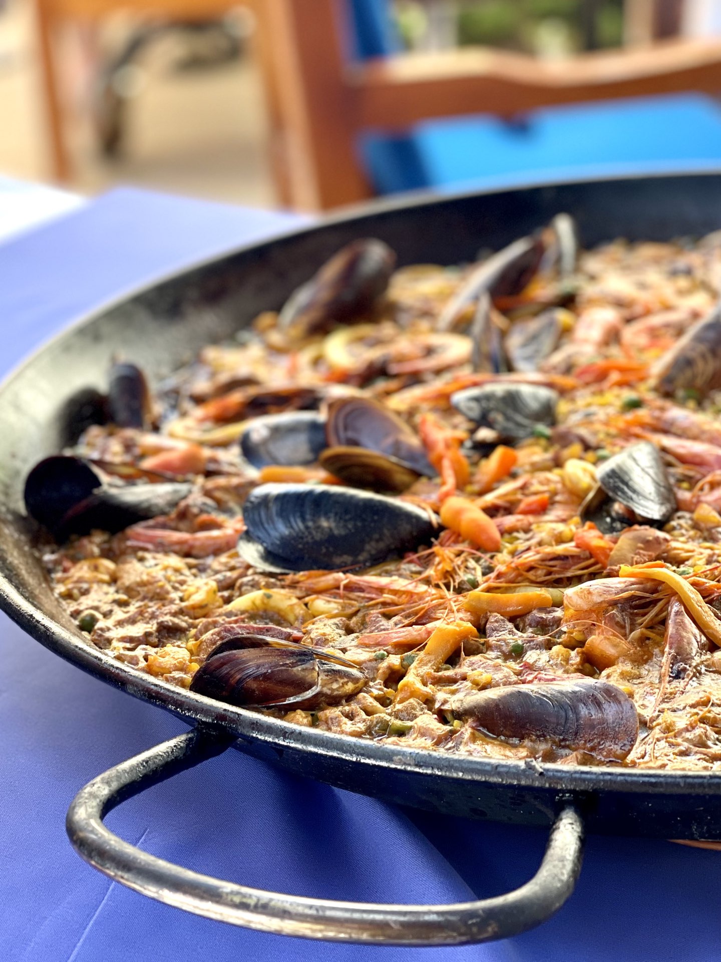 Frische Mittelmeerküche im Bistro Mar in Port de Alcudia